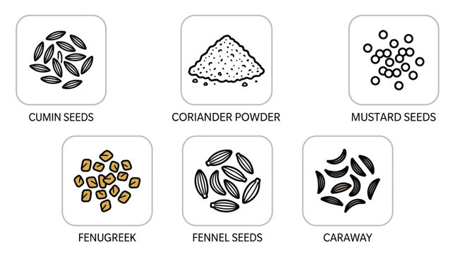 Spice Seeds and Powder Collection for Cooking and Flavour Enhancement