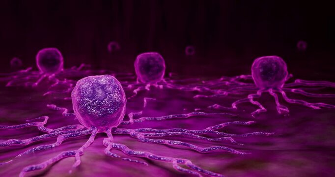 Malignant Tumor Cells Invading Healthy Tissue During Cancer Progression Process 3D Rendering
