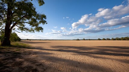 Fototapeta premium A solitary tree frames a vast expanse of bright blue sky and scattered white clouds over an open landscape