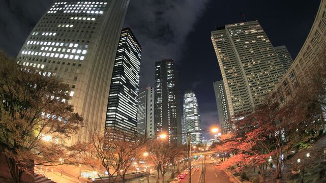 新宿高層ビル街