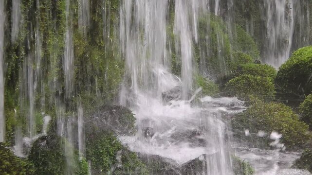 苔と滝の流れ