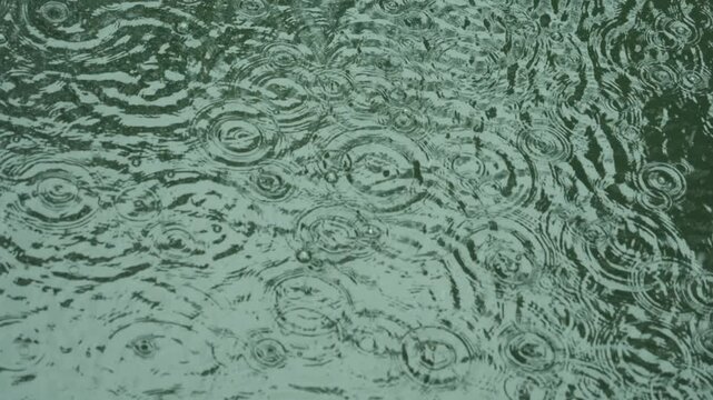Green water surface with ripples created by falling raindrops