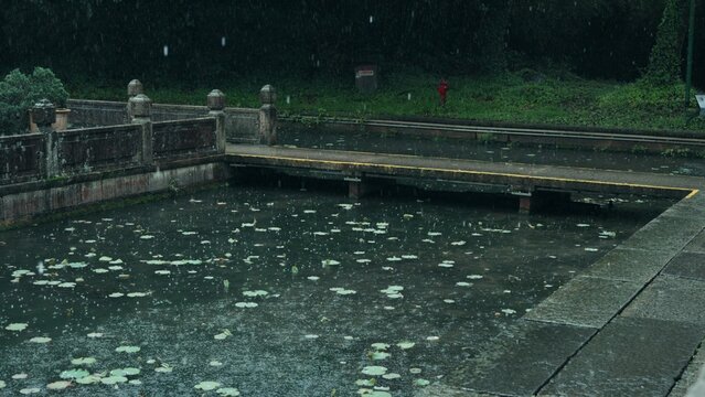 Raindrops falling on pond water surface with floating leaves and ripples in a garden
