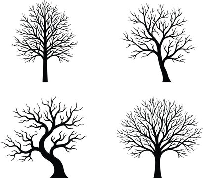 Set of bare tree black silhouettes with detailed branches in winter or autumn season isolated on white background vector illustration