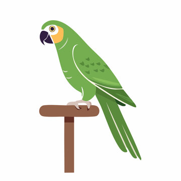 Green Parrot Perched on a Wooden Stand