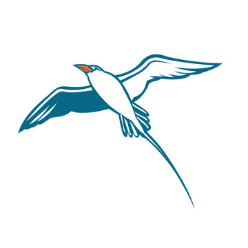 Retro logo style illustration of red-billed tropicbird or Phaethon aethereus related to seabird of tropical oceans resembling a tern flying on isolated background.