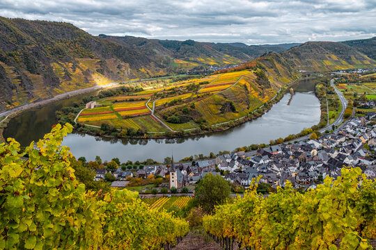 Autumn Moselle River Bend with Colorful Fields and Vineyards