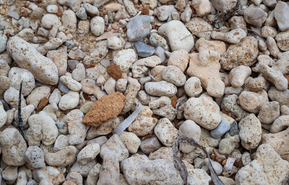 Natural Coastal Stone Texture Background