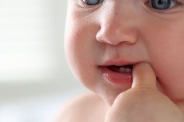 Fototapeta premium First baby teeth. Cute little child teething at home, closeup. Space for text