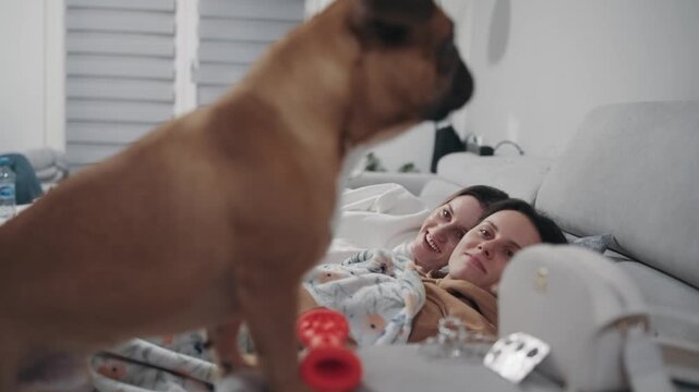 A brown French bulldog dog is standing in front of two sleepy women lying on a couch. The dog is looking at the women and seems to be curious about them