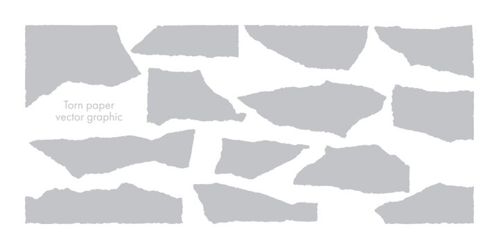 破れた紙のベクター・グラフィック素材（Grey）