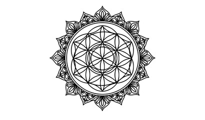Fototapeta premium Geometric Sacred Flower of Life Black Line Art Mandala Vector Ornament Isolated on White