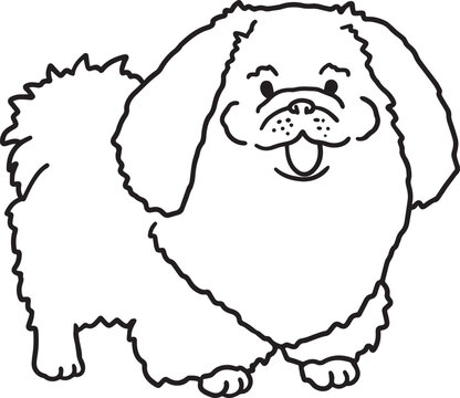 Pekingese line art doodle fluffy small dog contour illustration hand drawn clipart black and white mascot isolated drawing grooming salon veterinary clinic pet products packaging coloring book social 