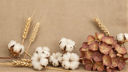 Fototapeta premium Dried wheat cotton bolls and flowers on a textured beige background.