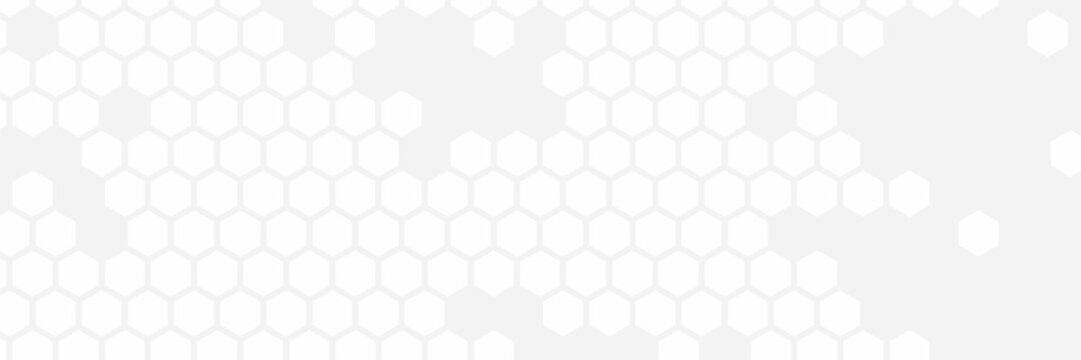 Honeycomb patterned wood panels in hexagonal shape background. Abstract white hexagon concept background. vector banner design. Hexagons pattern.