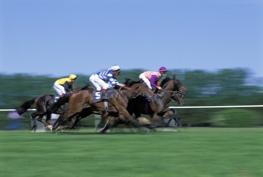 Horse racing
