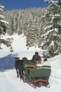 Sleigh in winter Valepp near Spitzingsee Lake Spitzing Upper Bavaria Germany