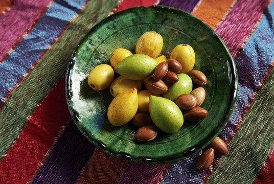 Fresh Argan fruits and Argan nuts (Argania spinosa), Morocco