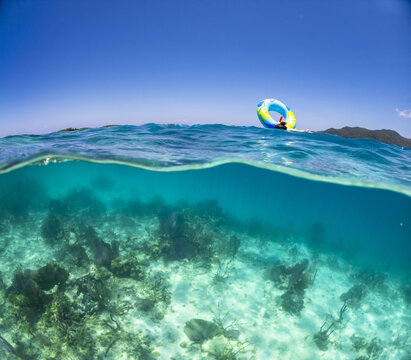 View of a person floating on a colorful inflatable ring above a vibrant coral reef in crystal clear turquoise water Guanaja, Bay Islands Department, Honduras.