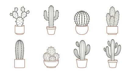 Fototapeta premium A collection of various cactus plants.