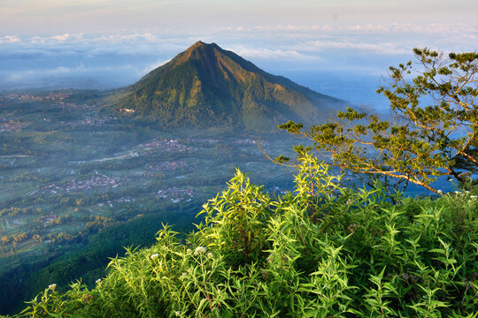 View of Mount Andong rising above terraced fields and a sea of clouds from a lush green hillside in Magelang, Central Java, Indonesia.