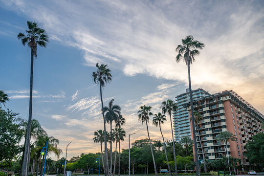 coconut grove, miami