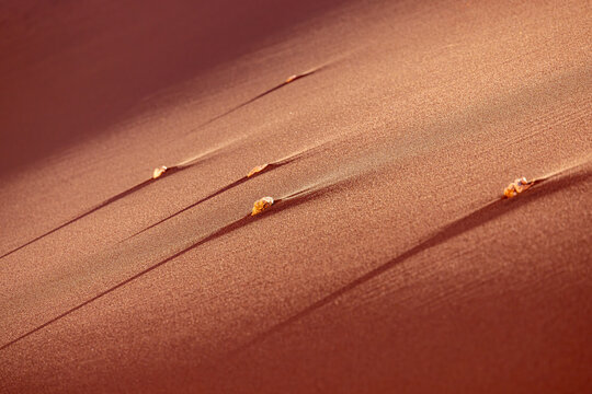 View of the Valley of the Moon featuring red sand dunes with small pebbles leaving trails under warm golden light in San Pedro de Atacama, Antofagasta, Chile.
