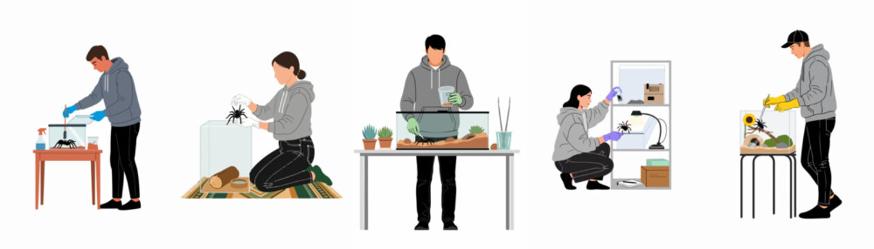 Set of flat illustrations showing people caring for pet tarantulas in terrariums, including feeding, cleaning, and handling spiders in various home settings.