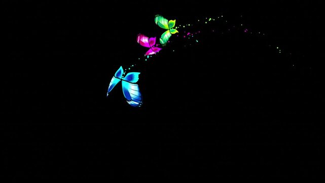Butterfly Flying