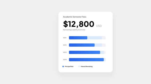 Modern user interface component presenting financial data, including a total amount, time-based spending, and remaining allocation via clear progress indicators