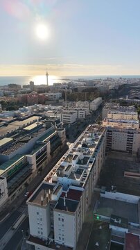 Aerial view of the Constitution of 1812 Bridge in Cadiz, Spain. Cinematic drone shot of the modern landmark cable-stayed bridge over the bay on a sunny day