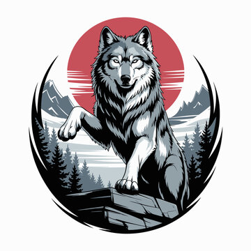 Gray wolf standing on a rock.