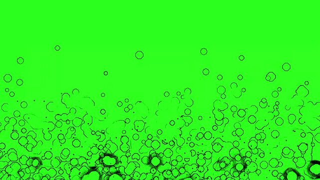 Doodle sketchy bubble shapes moving up animation on green background