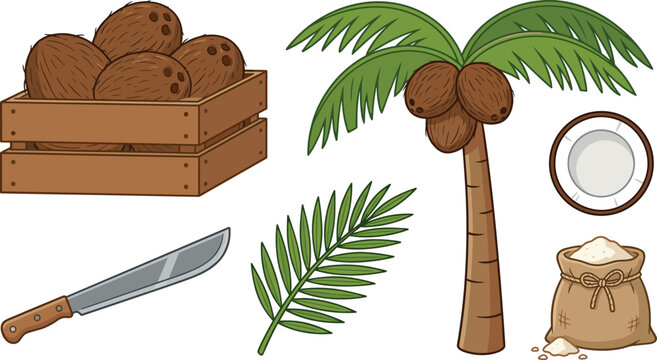 Tropical Coconut Farm Element Set with Palm Tree Wooden Crate Leaf Machete Flour Sack Half Coconut Cartoon Vector Illustration