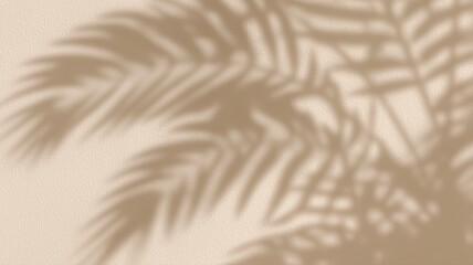 Fototapeta premium 壁に映るヤシの葉の影。自然光の柔らかい雰囲気を演出する背景素材
