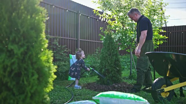 Adorable little girl helping her father water a freshly planted thuja tree in their backyard garden, learning about nature and gardening during a sunny day of family activity together