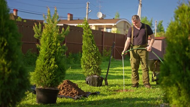 Dedicated landscaper carefully watering a newly planted sapling hole in a lush green lawn, getting ready to plant evergreen trees and improve the garden on a bright and sunny summer day