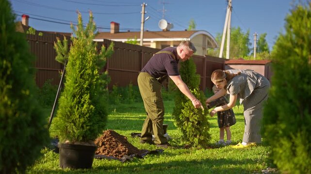 Happy multi generational family planting a young thuja tree together in their green backyard garden on a sunny day, fostering connection with nature and creating lasting memories