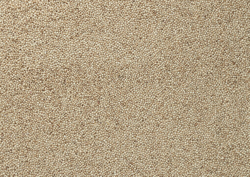 Dry amaranth grains in big pile on table close up. Large amount of yellow amaranth grains