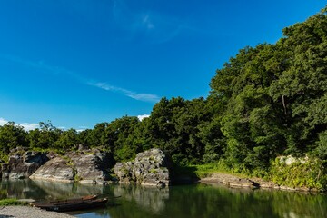 Fototapeta premium 新緑の木々と透き通った川が流れる美しい自然風景 