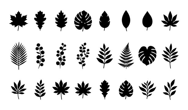 Mixed Leaf and Botanical Silhouette Icon Set Featuring Maple, Oak, Monstera Palm, Fern Fronds, and Berry Sprigs for Autumn, Tropical Summer, and Seasonal Nature Pattern Designs