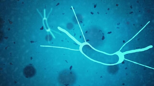 Microscopic micro organism bacteria cells floating under light microscope representing biofilm formation and antimicrobial resistance science research in 4K Ultra HD footage
