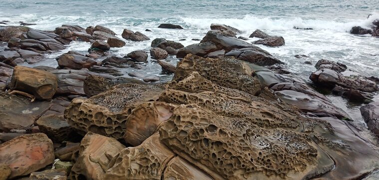 Close up of honeycomb weathered rock texture on a coastal shore