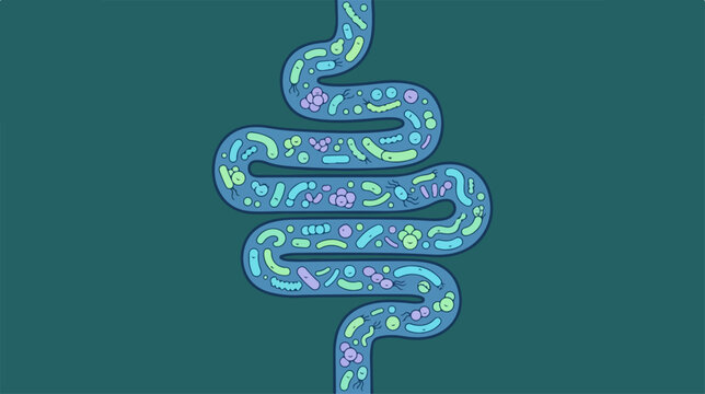 Illustration of human intestinal tract with gut microbiome bacteria.