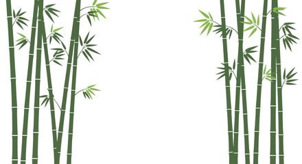 Naklejka premium Bamboo plants vector illustration