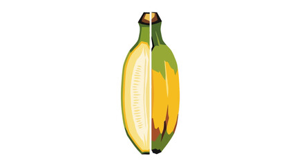 Banana sliced in half vector illustration © Tudey