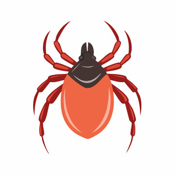Illustration of a Red and Black Tick