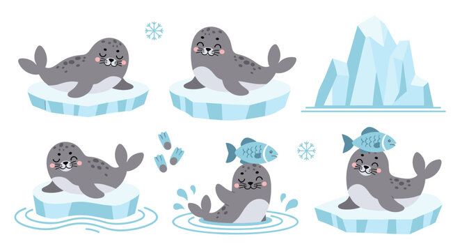 Set of cute grey seals on ice floes and water, playful arctic animal theme, wintry wildlife collection, cartoon wildlife characters and fish