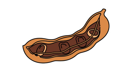 Fototapeta premium bean pod with three beans vector illustration