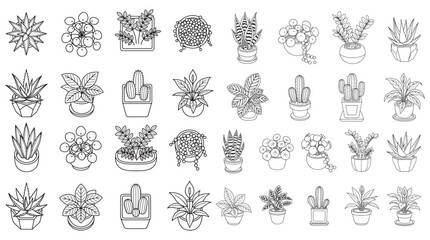 Obraz premium Collection Of Succulent And Potted Plant Line Art Icons In Grid Layout For Design Use